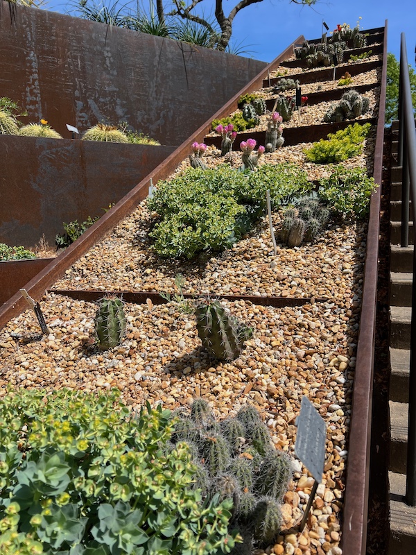 skyline garden