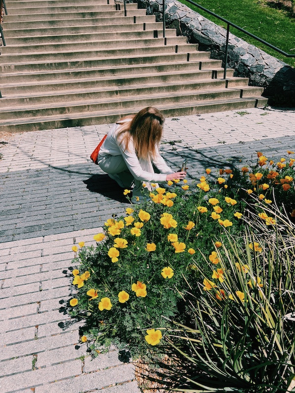 taking photos in a garden