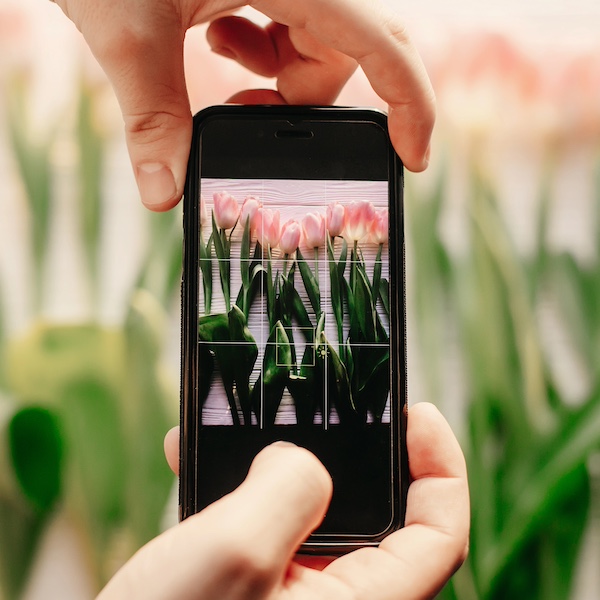 How to Take the Best Photos in a Garden