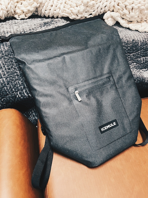 carryon luggage icemule