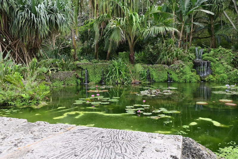 Fairchild Tropical Botanic Garden pool