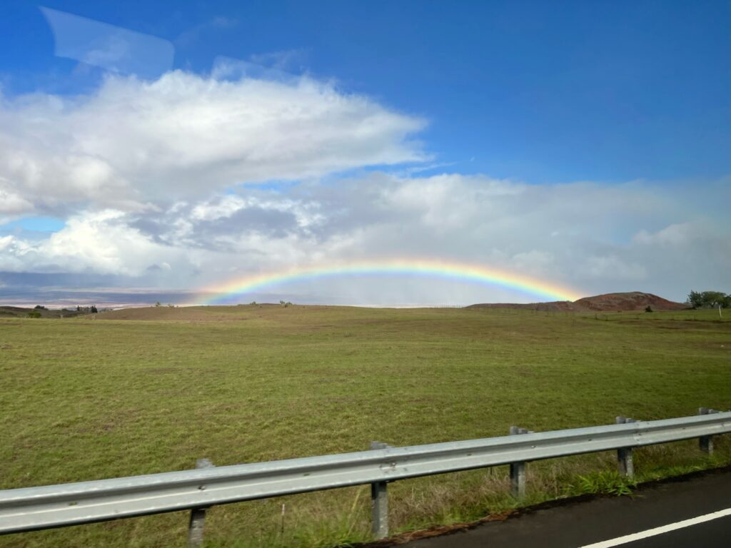 maui rainbow