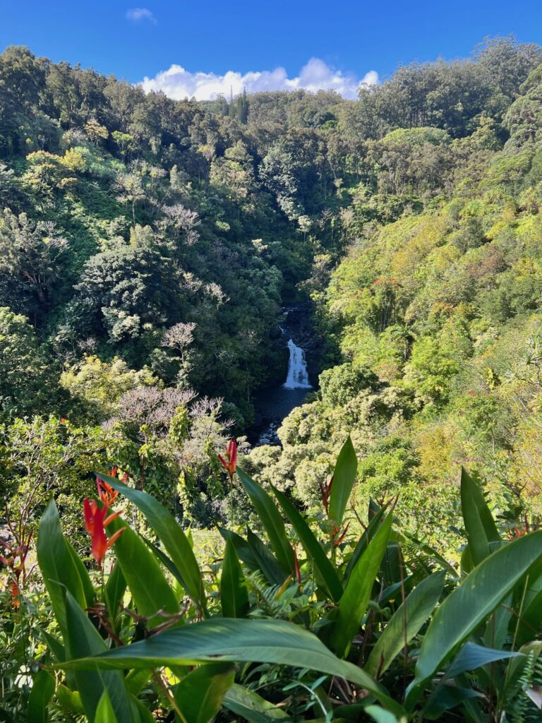 waterfall on road to hana