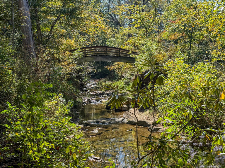 Asheville Botanical Garden bridge
