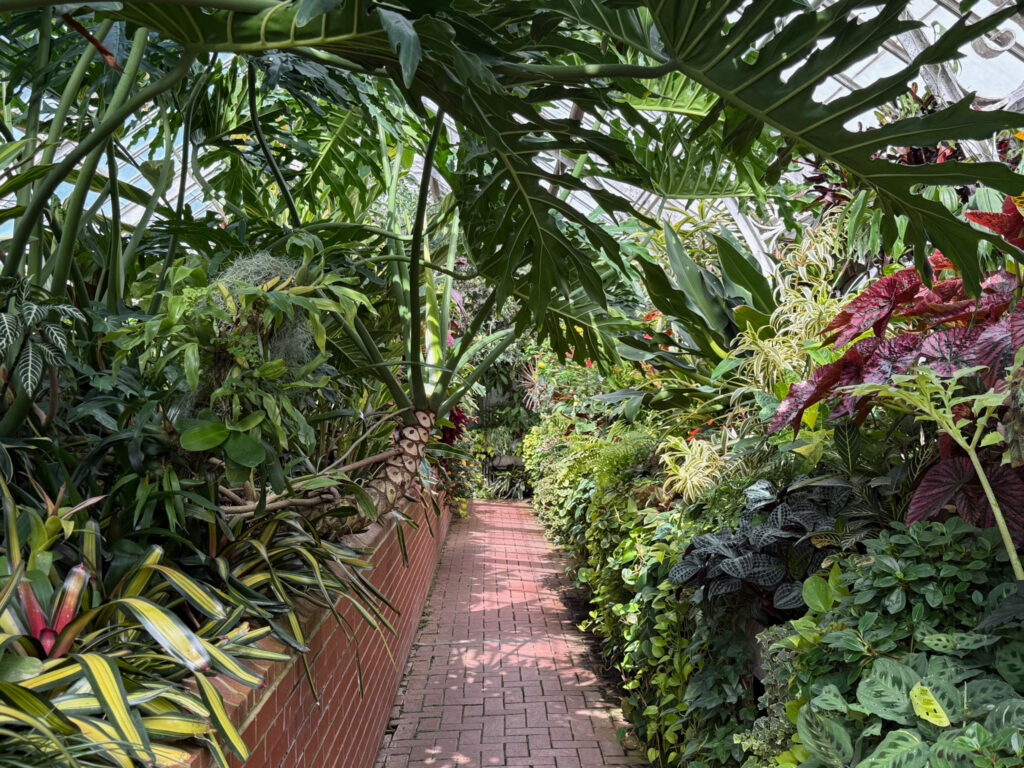 Biltmore conservatory