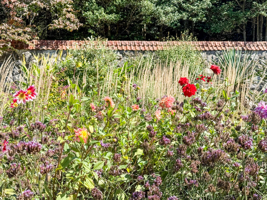Biltmore walled garden