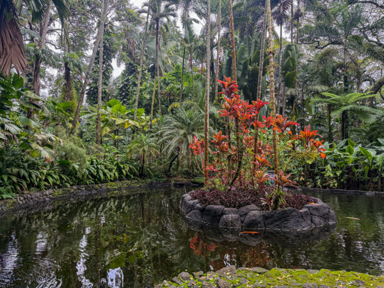 Hawaii Tropical Botanical garden